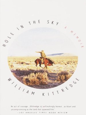 cover image of Hole in the Sky